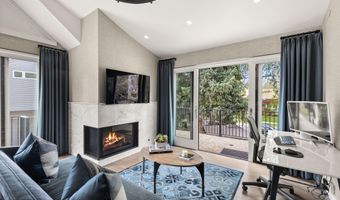 101 E Hallam St, Aspen, CO 81611