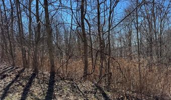 Lot # 70 Tall Tree Lane, Banner Elk, NC 28604