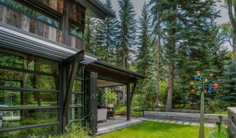 1110 Black Birch Dr, Aspen, CO 81611
