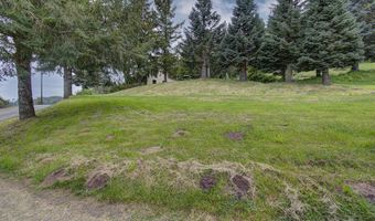 26810 NE 434TH St, Amboy, WA 98601