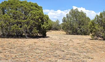 3200 W Poppy Rd, Ash Fork, AZ 86320