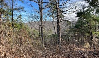 153 ACRES 34.6002 -95.08725, Albion, OK 74571