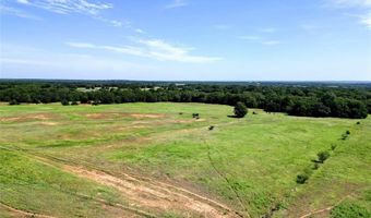 N Part Of Tract 54 FM 1655, Alvord, TX 76225