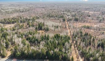 6002 Wildwood, Alger, MI 48610