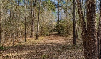 5280 Whitaker Way, Anderson, TX 77830