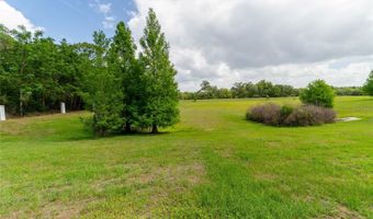 849 PANICAL Dr, Apopka, FL 32703