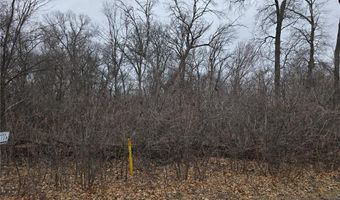 L1 B2 288th Avenue NW, Baldwin Twp., MN 55398