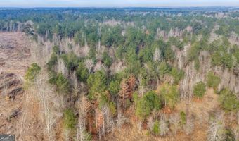 241 Foskey Cemetary Rd, Adrian, GA 31002