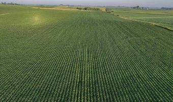 290 Th St, Aplington, IA 50604