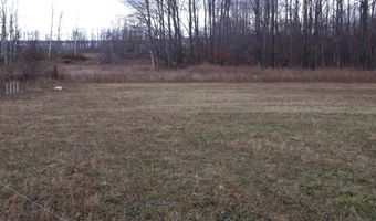 2327 McMichael Rd, Alanson, MI 49706