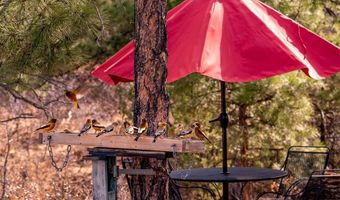 16556 Buena Vis, Boncarbo, CO 81024