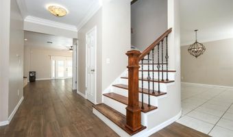 1349 VALLEY PINE Cir, Apopka, FL 32712