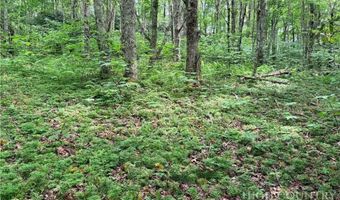 Chestnut Mountain Road, Banner Elk, NC 28604
