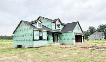 9520 Alaska Ave SE, Alto, MI 49302