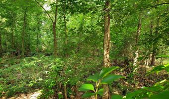 136 Plum Tree Rd, Brandon, MS 39047