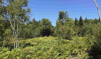 F2 Cave Mountain Road, Bartlett, NH 03812