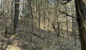 5 Acres Hwy 415, Albany, KY 42602