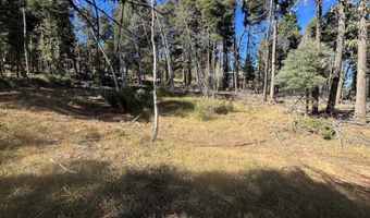 Taos Dr lot 173, Angel Fire, NM 87710