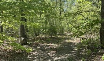 DAVIS Lane, Aroda, VA 22709