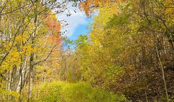 595 Rock Creek Ridge Rd, Bakersville, NC 28705