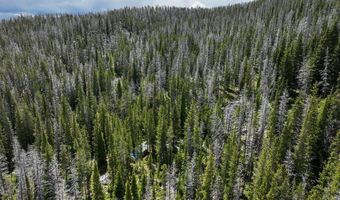 NHN Cataract Creek, Basin, MT 59631