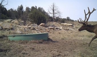 84521 County Road 40.2 Hidden Gem at Poitry Canyon, Branson, CO 81027