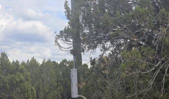 84 County Road N8149, Concho, AZ 85924
