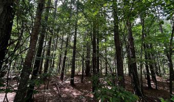 0 S Sardis Rd, Bauxite, AR 72011