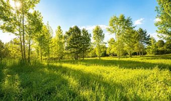 58 Acres Naples Ln, Arab, AL 35016