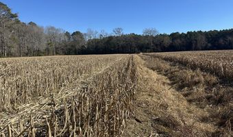 0 Bivalve Lodge Rd, Bivalve, MD 21814