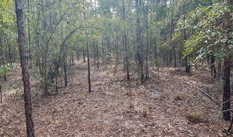 85 Th St, Bell, FL 32619