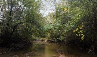 0 Co Rd 53, Abbeville, AL 36319