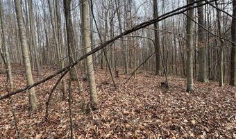 1383 HogBack Rd, Albany, KY 42602