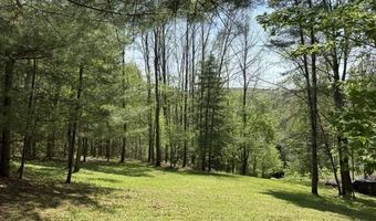 Gold Coast Road, Bridgewater, VT 05034