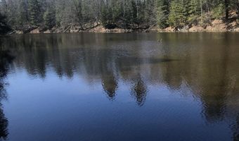 2823 River Ridge Rd, Alger, MI 48610