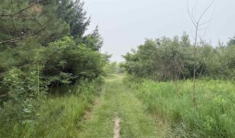 20 Acres E M-30 Hwy, Alger, MI 48610