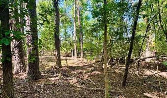 Grants Mill Rd W, Bennettsville, SC 29512