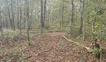 4814 NW 244 Ave, Alachua, FL 32615
