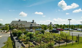 144 COWBIRD St, Lake Frederick, VA 22630