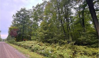 34 Xxx 80ac 298th St, Aitkin, MN 56431