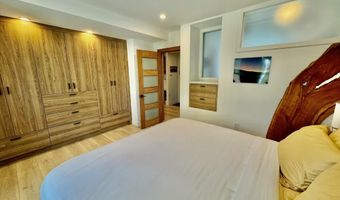 910 W Hallam St 9, Aspen, CO 81611