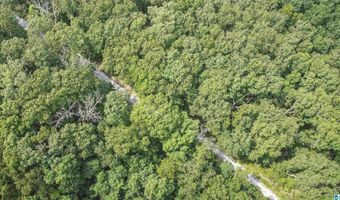 0 LANIER Pl 26.25 ac, Anniston, AL 36207