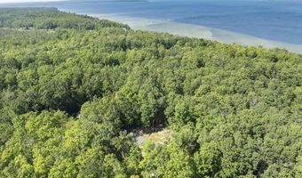 9734 W M-68, Alanson, MI 49706