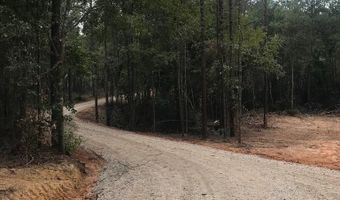 00 TRACT # 2 Burgetown Rd, Carriere, MS 39426