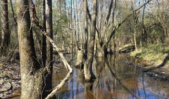 Bogue Chitto Road, Bogue Chitto, MS 39629