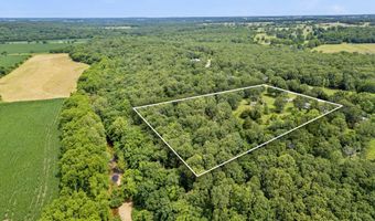 6301 Lawrence 1207, Ash Grove, MO 65604