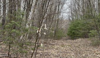 Skyline Ridge Rd lot 19, Becket, MA 01223