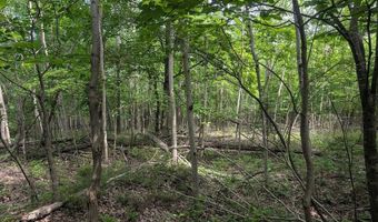W Long Lake Road, Alpena, MI 49707