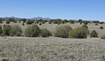 Ten Tanks Rd lot 6, Ash Fork, AZ 86320