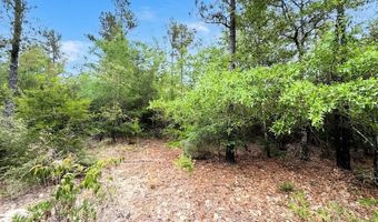 Broadview Avenue, Alford, FL 32420